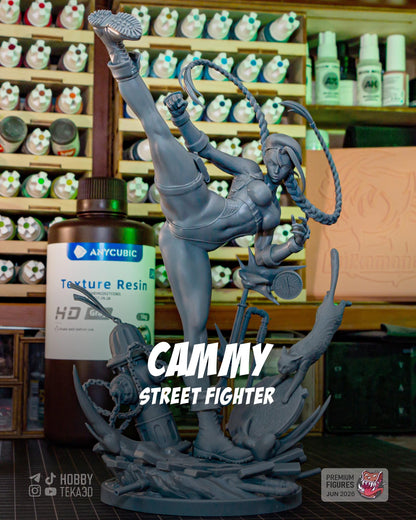 Unpainted Anime Martial Artist Resin Model Kit – 1/8 and 1/6 Scale – by Bulkamancers – High Kick DIY Figure